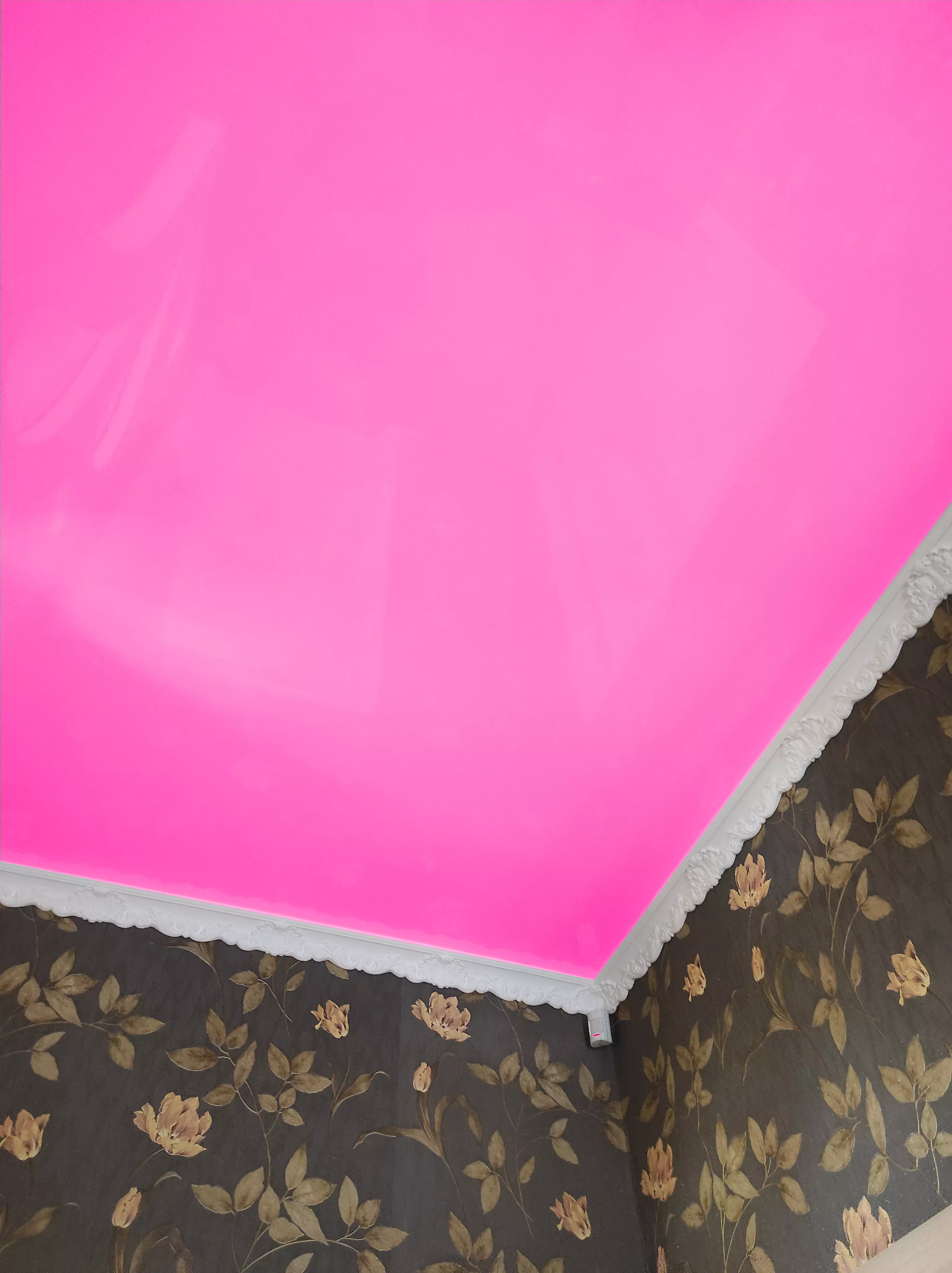 Щёлково, , фото 2