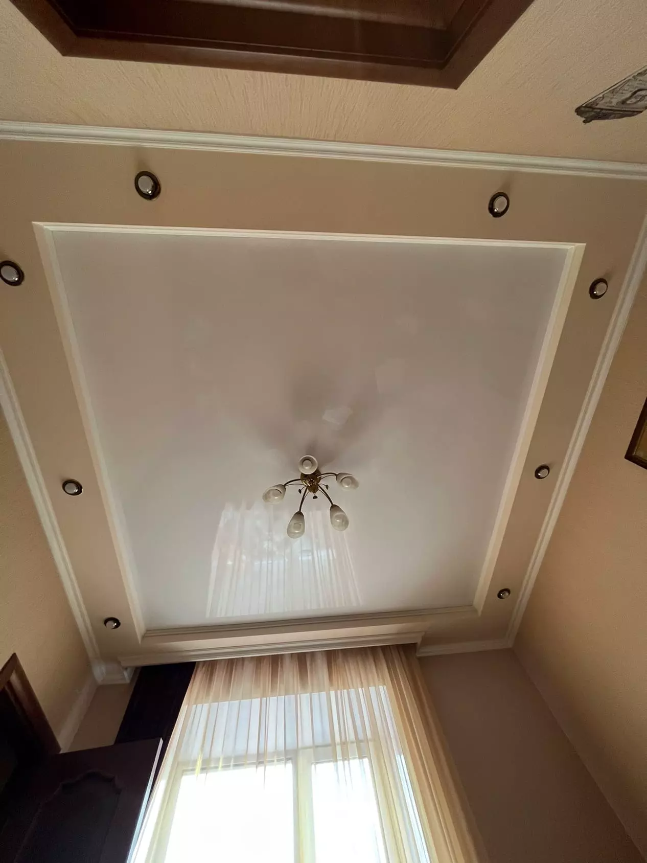 Мурманск, улица Академика Книповича, 31а, фото 2